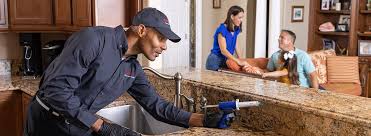 Best Pest Exclusion Services  in Dundee, MI