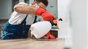 Best Pest Control for Restaurants and Food Service  in Dundee, MI